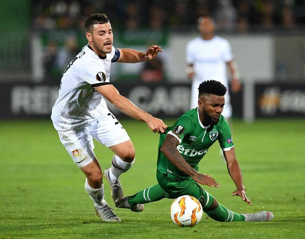 该队的中场 该队的中场